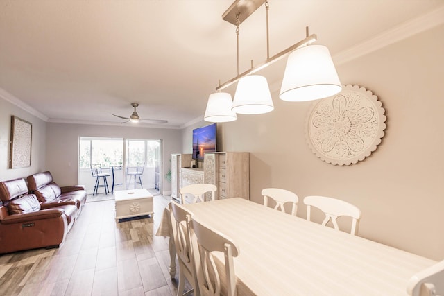 dining room featuring crown molding, ceiling fan, and wood finished floors