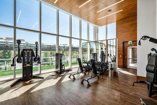 gym featuring wood finished floors, a towering ceiling, wooden walls, and a wall of windows
