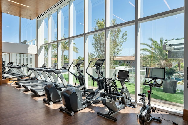 gym with a wealth of natural light, a towering ceiling, and a wall of windows