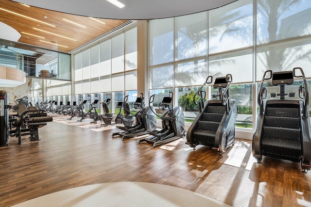 workout area with expansive windows, wood finished floors, and a towering ceiling