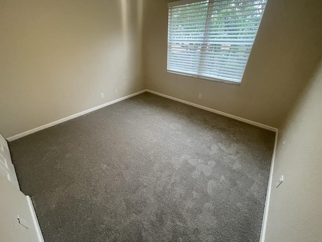 spare room with carpet