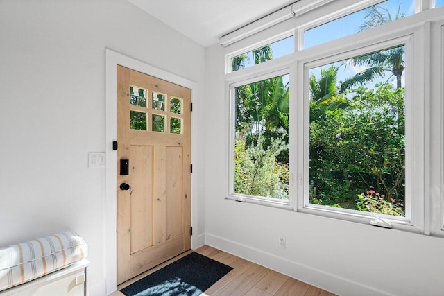 doorway featuring a healthy amount of sunlight and light hardwood / wood-style floors