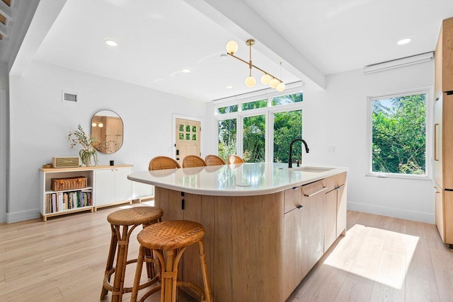 kitchen with light wood-type flooring, plenty of natural light, a kitchen island with sink, and sink