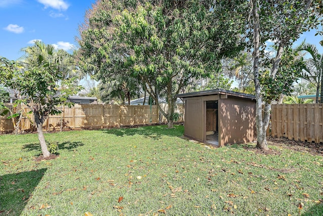 view of yard featuring a shed