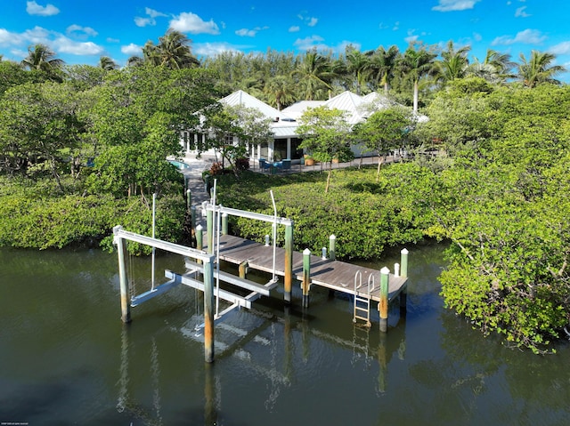 dock area with a water view