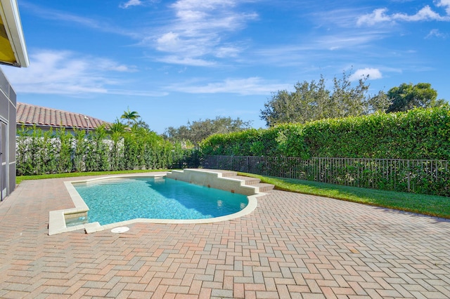 view of swimming pool featuring a patio area