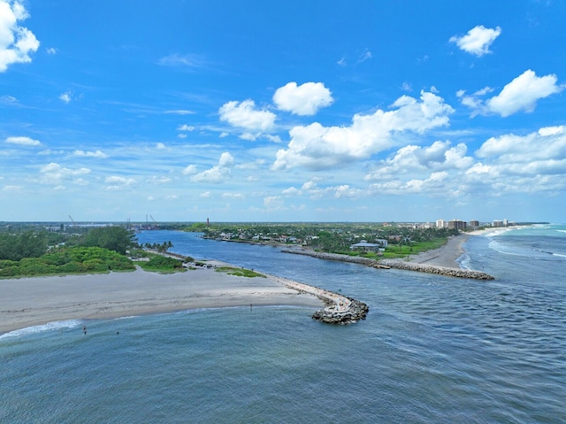 water view featuring a beach view