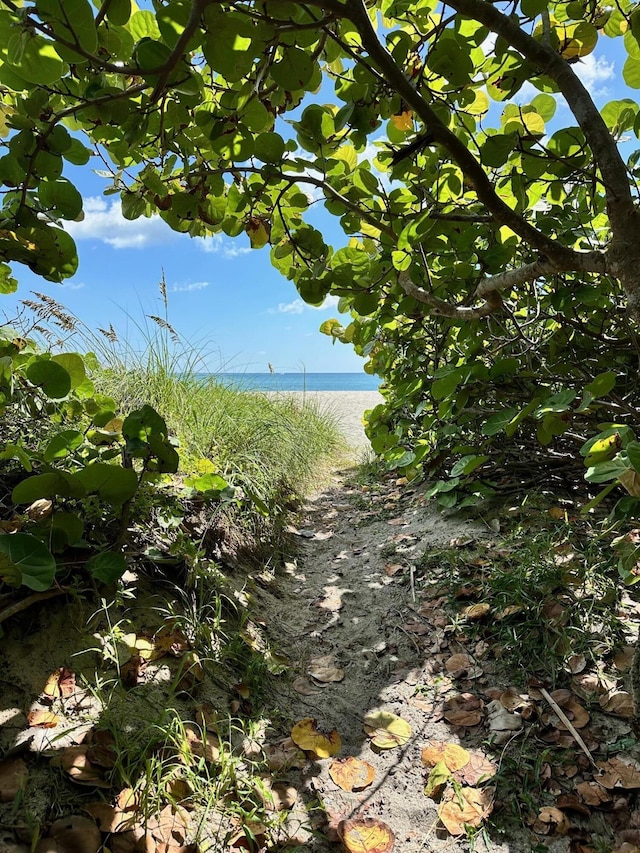 view of local wilderness with a water view