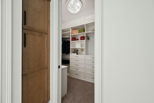 walk in closet featuring carpet and a chandelier