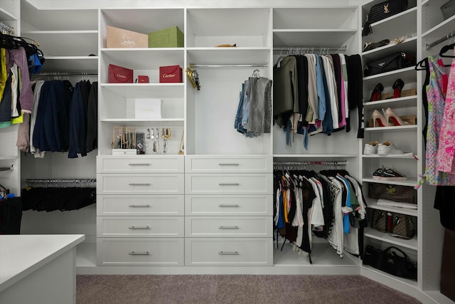 spacious closet with carpet