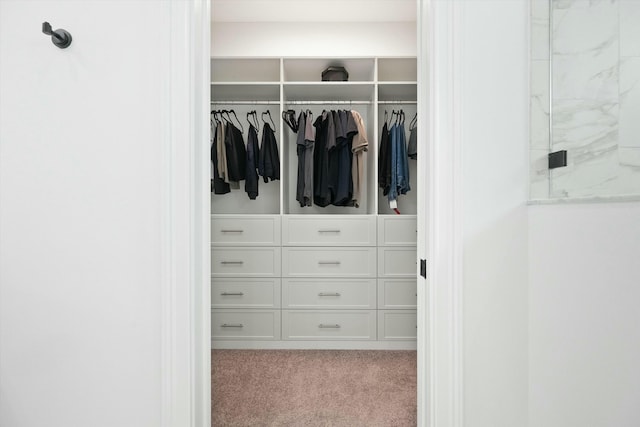 view of closet