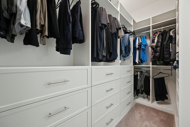 walk in closet featuring light carpet