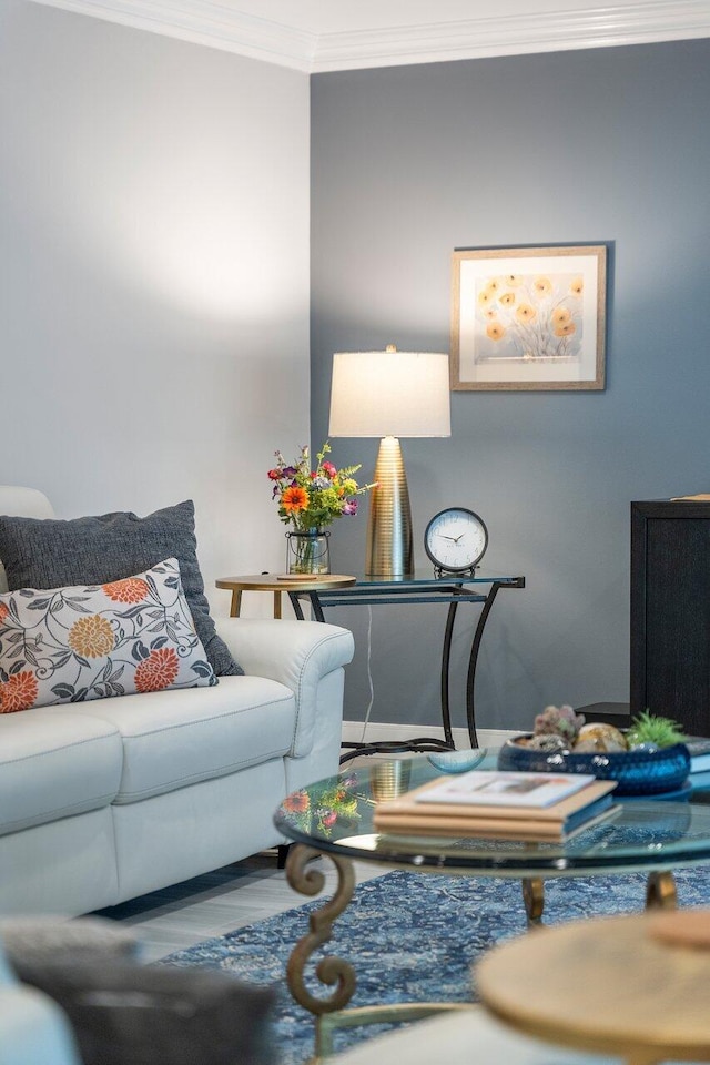 living room with ornamental molding