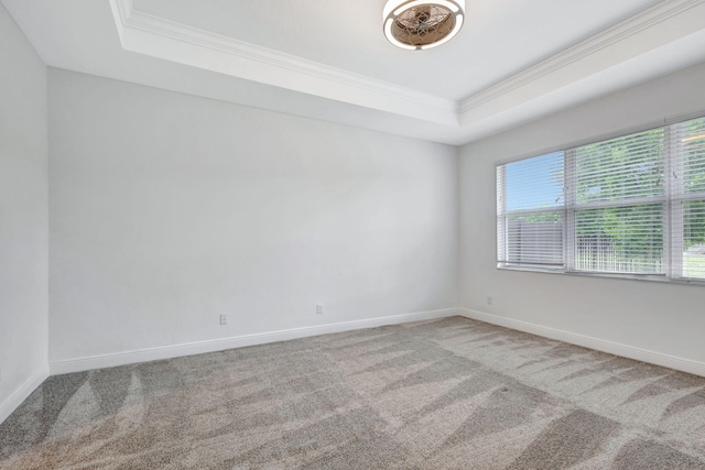 carpeted spare room featuring crown molding and a tray ceiling