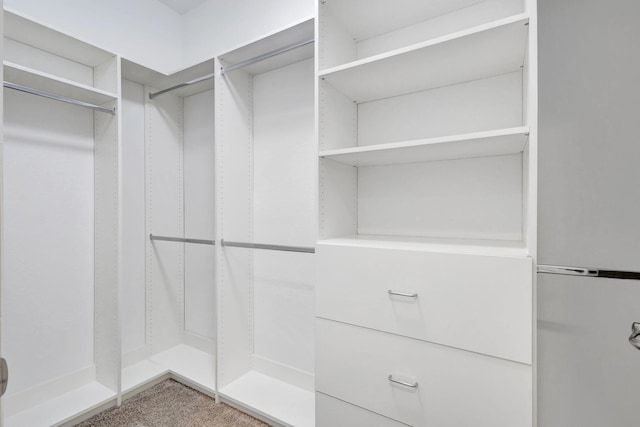 spacious closet with carpet floors