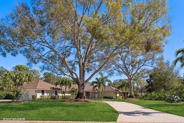 ranch-style house with a front lawn