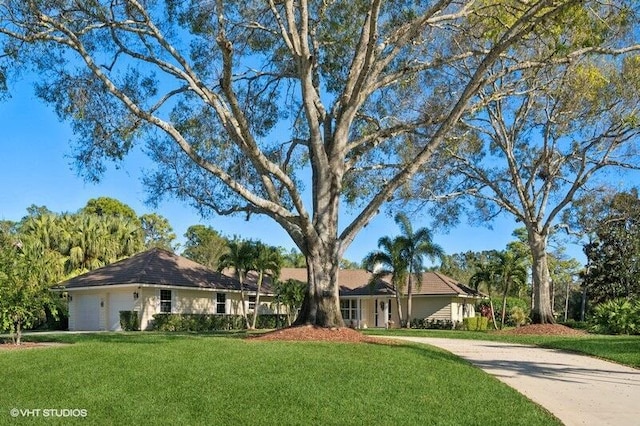 single story home featuring a front lawn