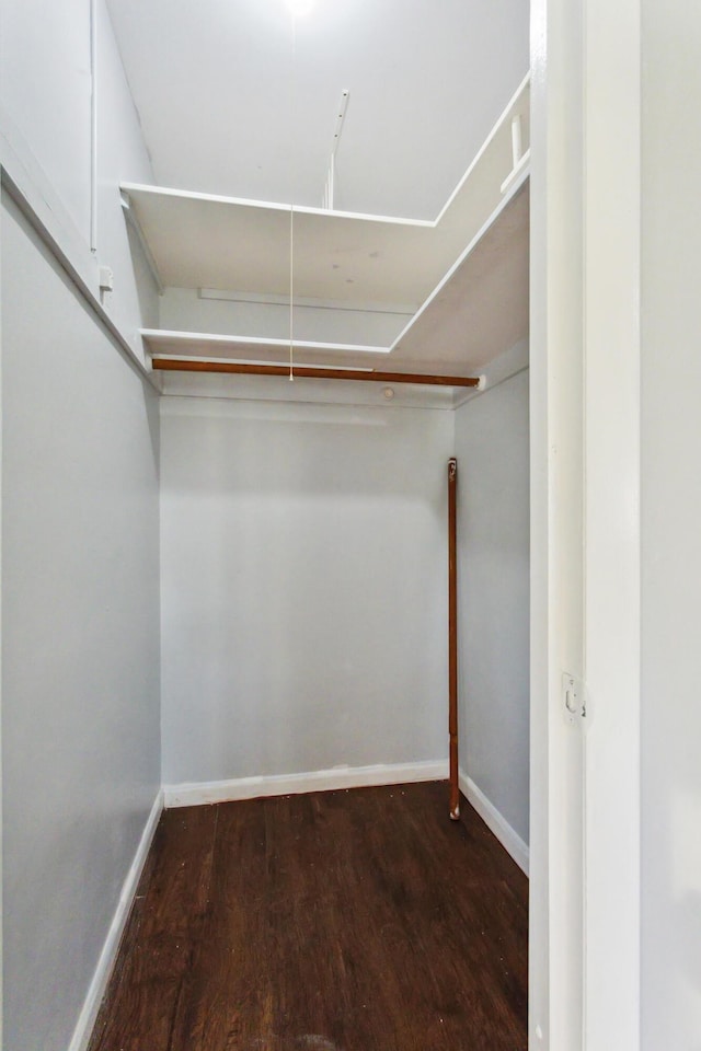 walk in closet with dark hardwood / wood-style floors