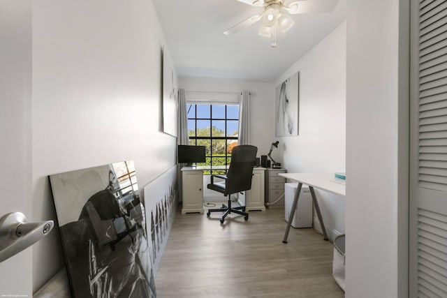 office featuring light hardwood / wood-style flooring and ceiling fan