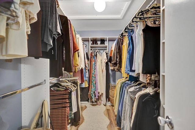 spacious closet featuring light wood-type flooring