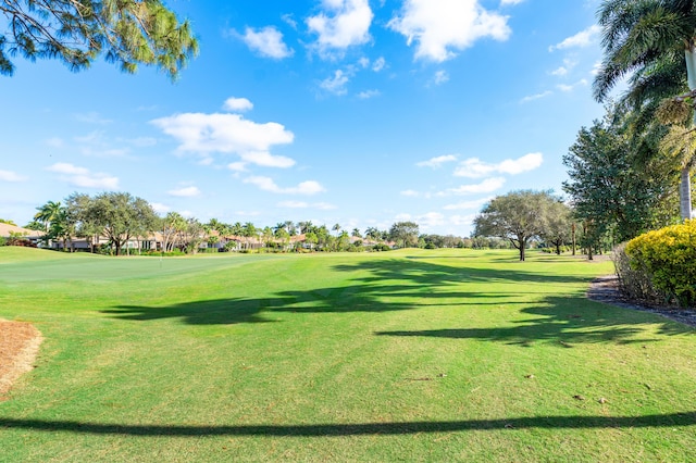 view of property's community with a yard