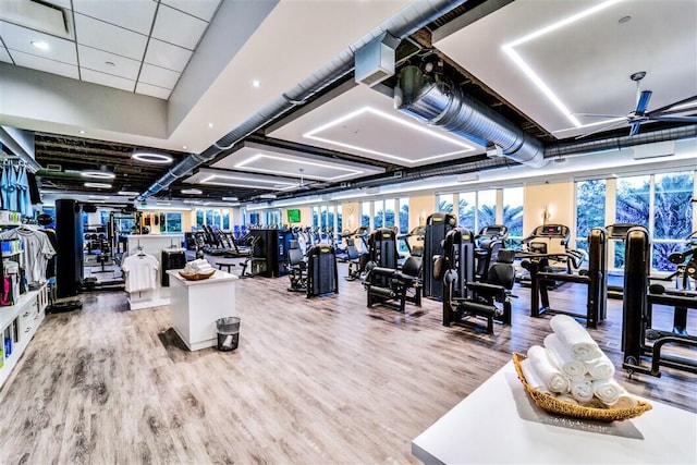 workout area featuring expansive windows, hardwood / wood-style floors, a drop ceiling, and ceiling fan