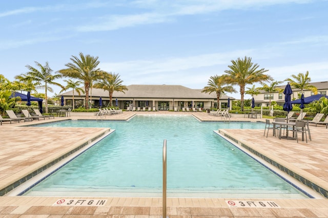 view of swimming pool with a patio area