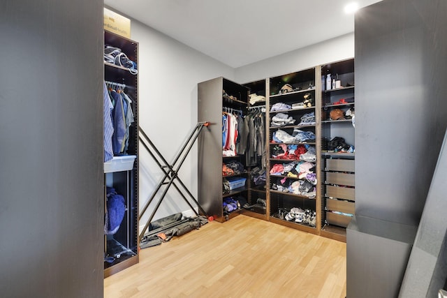 walk in closet featuring hardwood / wood-style floors