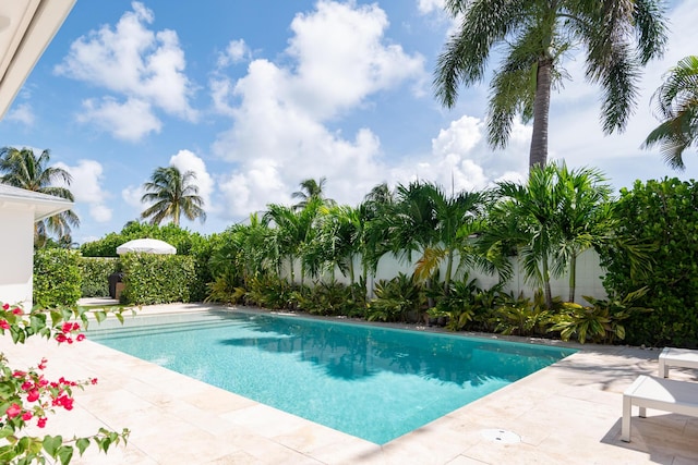 view of pool with a patio area