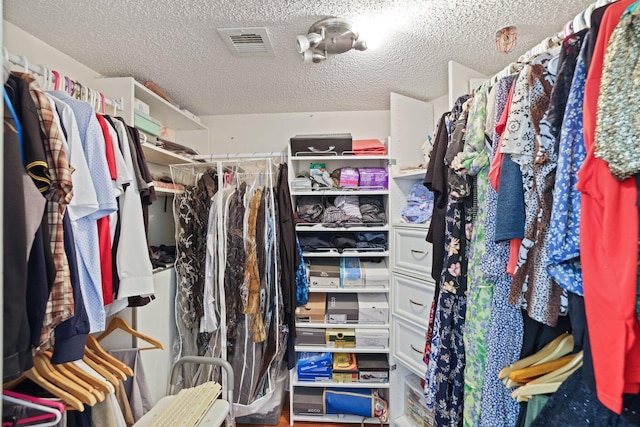 view of walk in closet