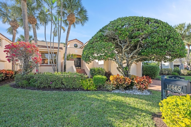 view of front of home with a front lawn