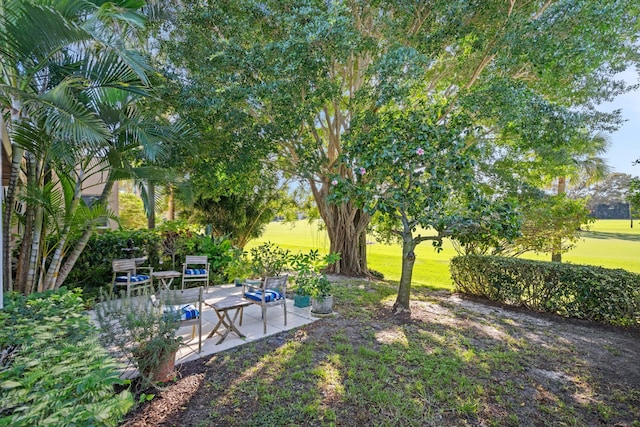 view of yard with a patio area