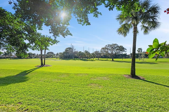 view of community featuring a yard