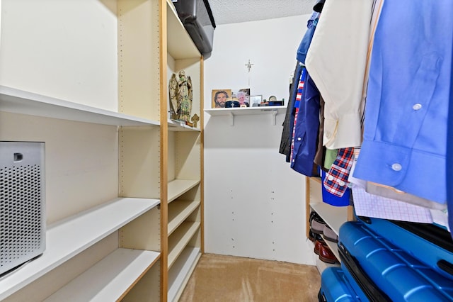 spacious closet featuring light carpet