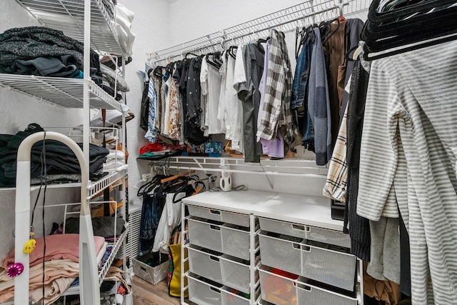 spacious closet featuring wood-type flooring