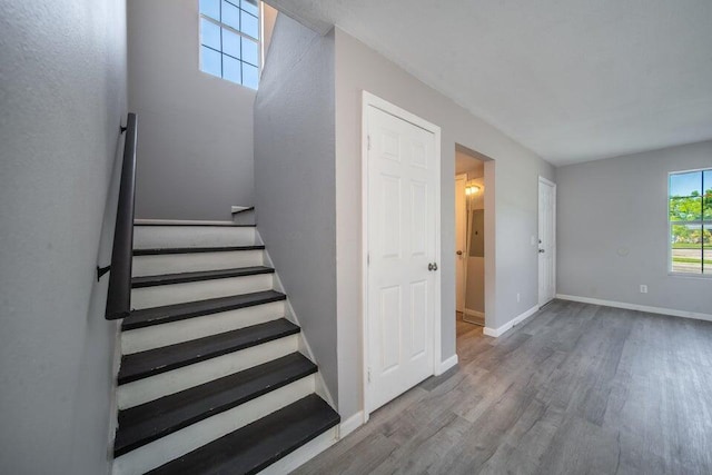 stairs with hardwood / wood-style flooring