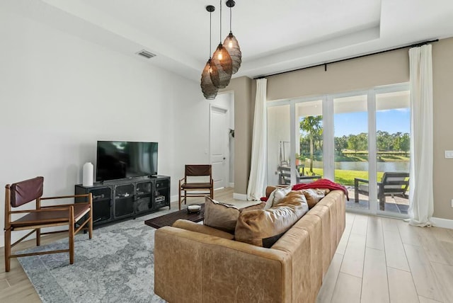 living room with a raised ceiling