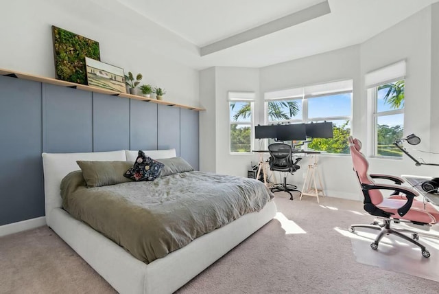 carpeted bedroom featuring a raised ceiling