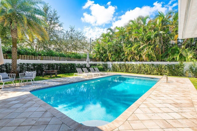 view of pool with a patio area