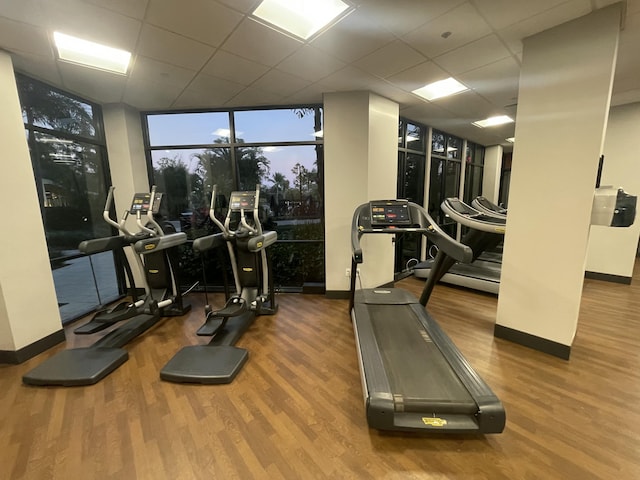 exercise room featuring expansive windows and wood-type flooring