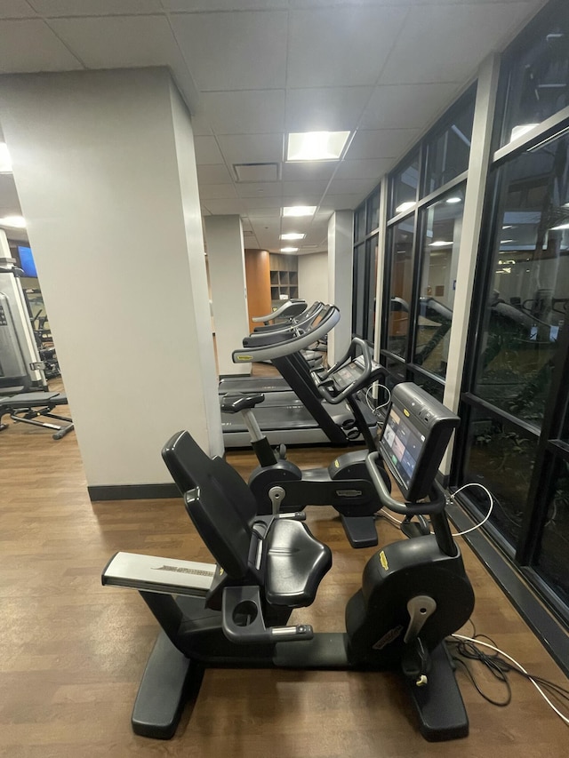 gym featuring hardwood / wood-style flooring and a drop ceiling