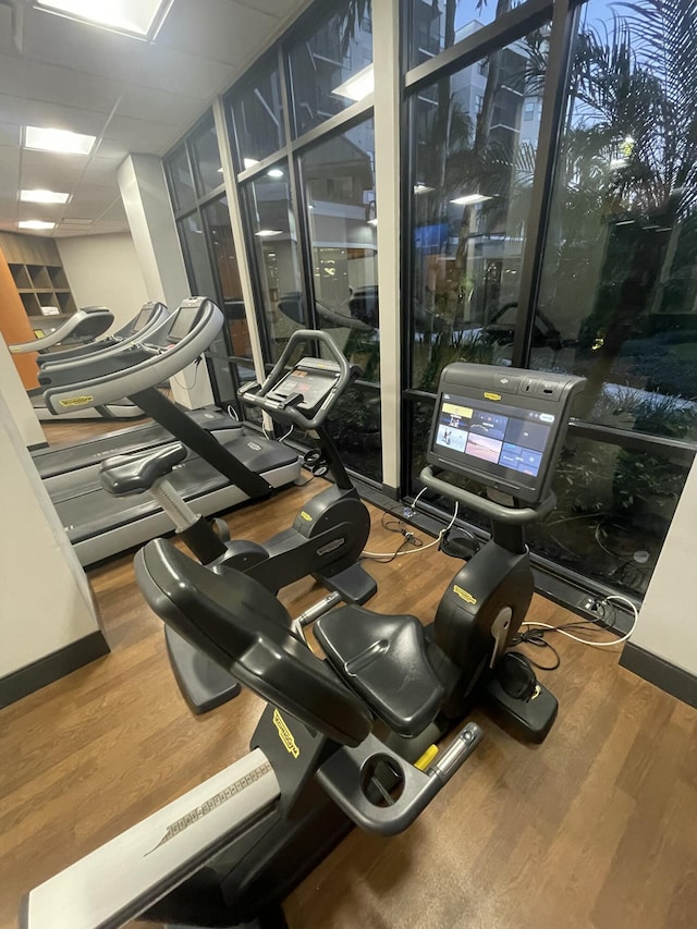 exercise room featuring a paneled ceiling and wood-type flooring