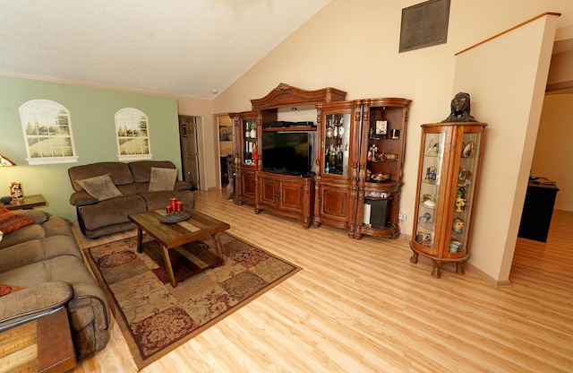 living room featuring vaulted ceiling and light hardwood / wood-style flooring