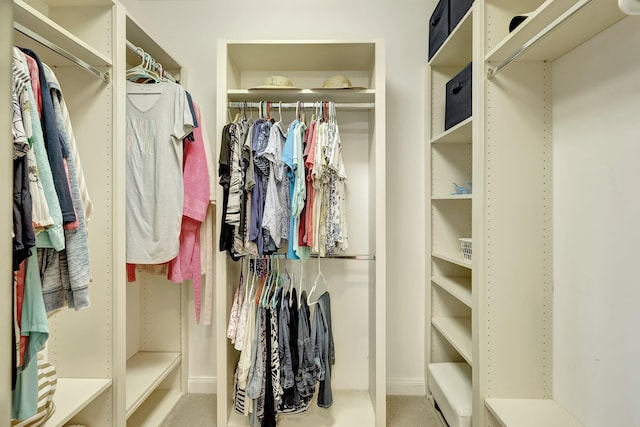 1 Harbour Isle Dr E Unit Ph2, Hutchinson Island, FL 34949 - view of spacious closet
