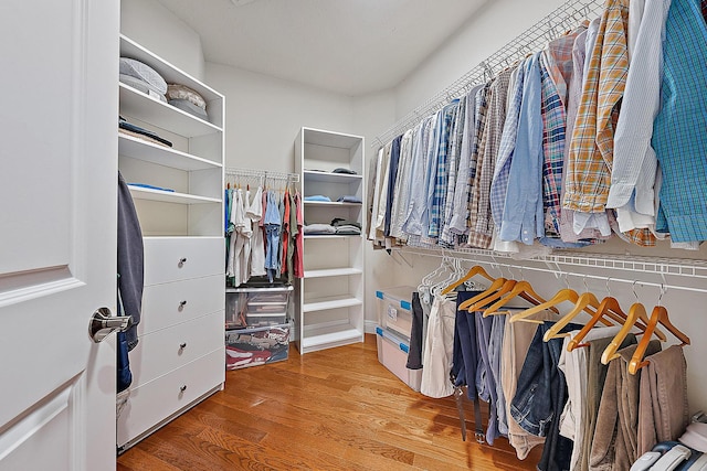 spacious closet featuring wood finished floors