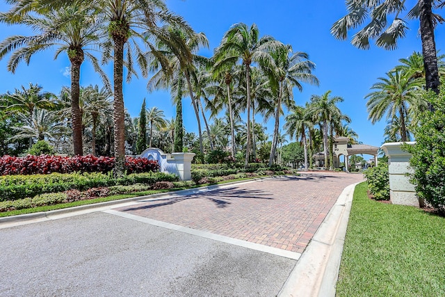 view of road featuring curbs