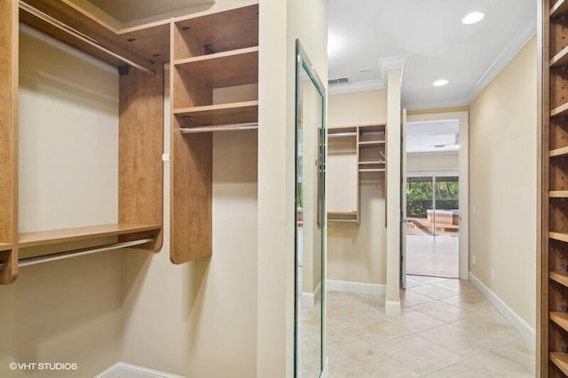 view of spacious closet