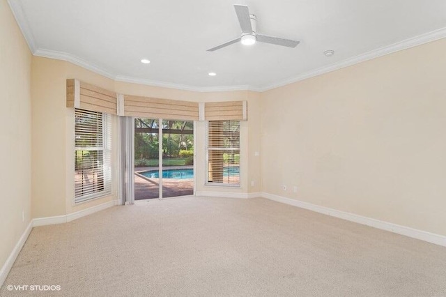 carpeted empty room with ceiling fan and ornamental molding