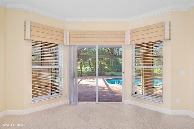 carpeted spare room featuring ornamental molding