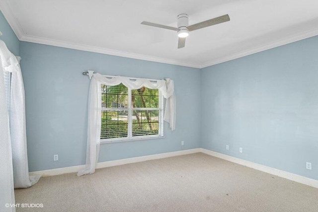 carpeted spare room with ceiling fan and crown molding